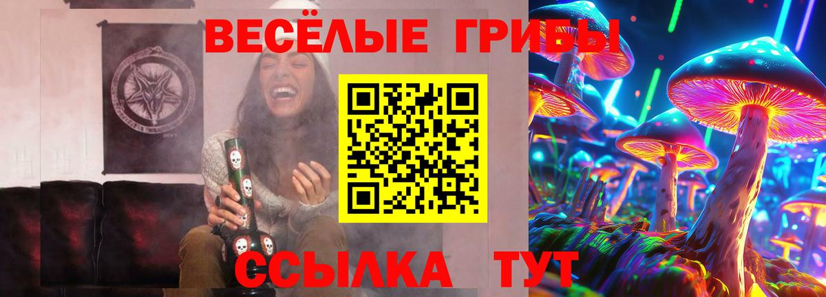 хочу наркоту  Вход с VPN  Верхний Уфалей  Галлюциногенные грибы Psilocybe 
