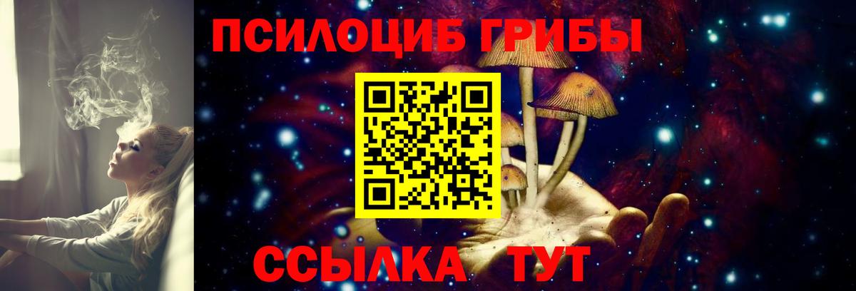 Псилоцибиновые грибы прущие грибы Верхний Уфалей